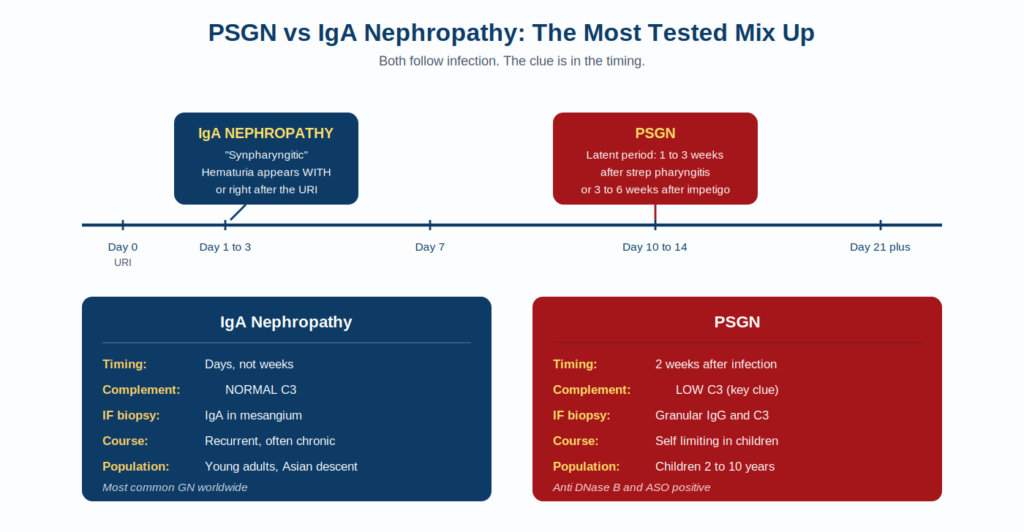 07_psgn_vs_iga.png