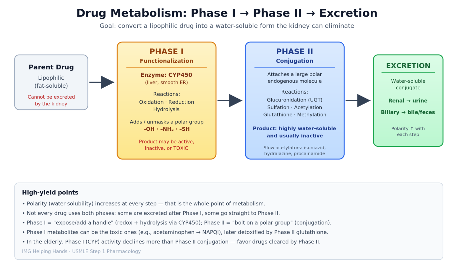CYP450 Inducers vs Inhibitors | USMLE Step 1 Drug Guide